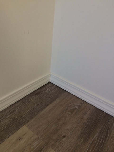 Finished -New Molding Installed !